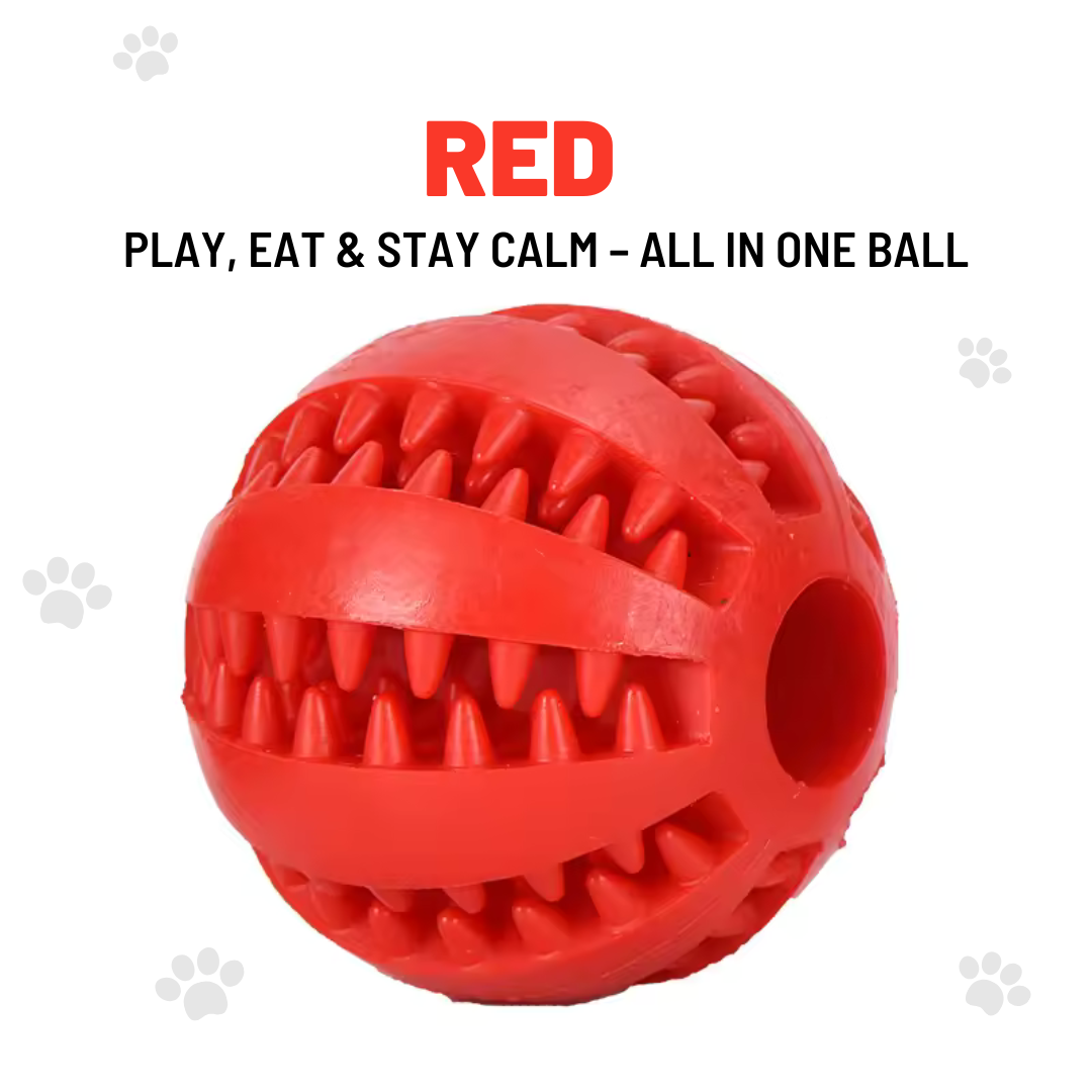 Interactive Ball for Dogs – Feed And Reduce Anxiety