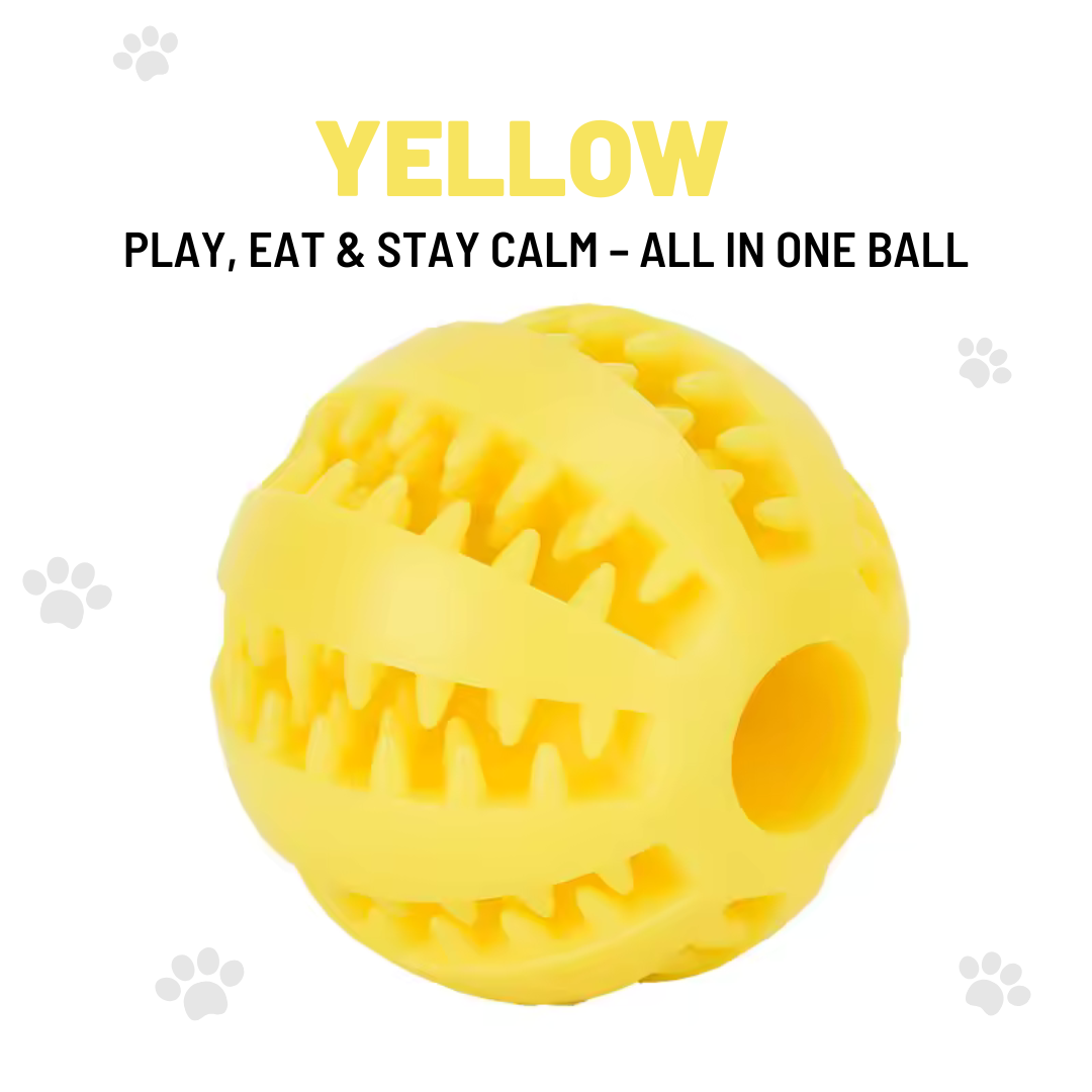 Interactive Ball for Dogs – Feed And Reduce Anxiety