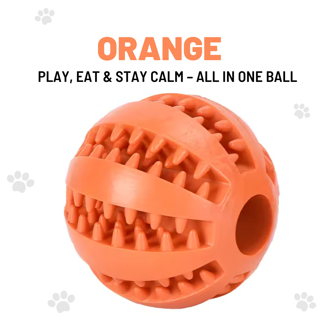 Interactive Ball for Dogs – Feed And Reduce Anxiety