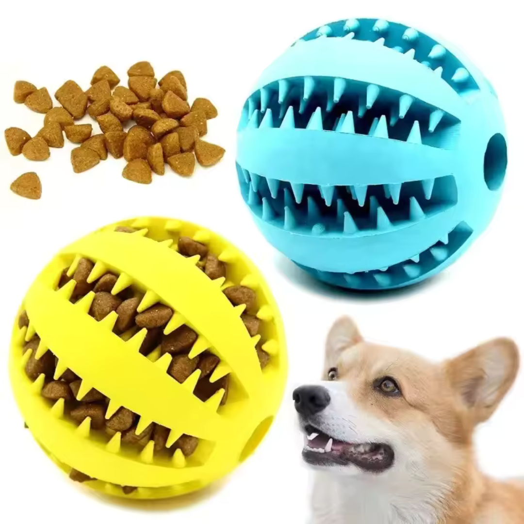 Interactive Ball for Dogs – Feed And Reduce Anxiety