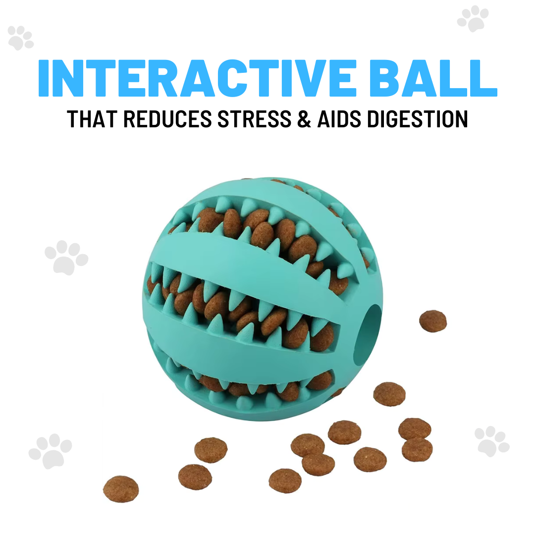 Interactive Ball for Dogs – Feed And Reduce Anxiety