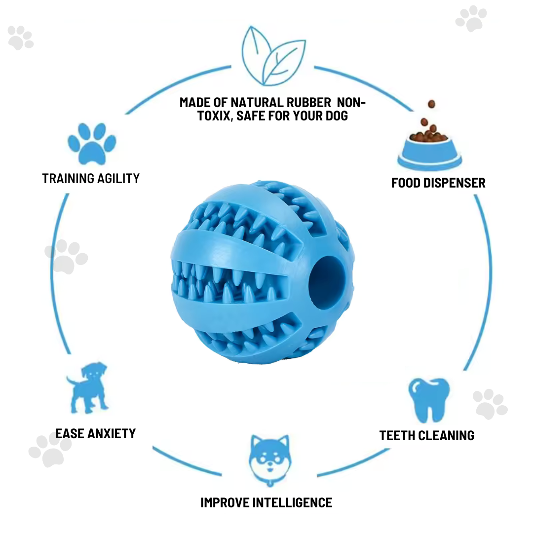 Interactive Ball for Dogs – Feed And Reduce Anxiety