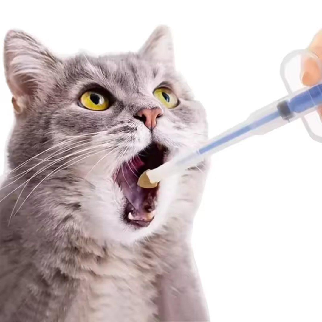 Pet Medicine Syringe – Gentle and Easy [For Pills and Liquids]