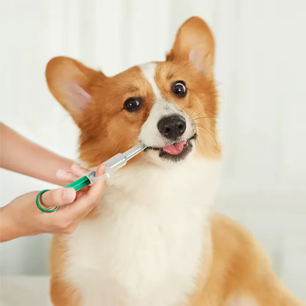 Pet Medicine Syringe – Gentle and Easy [For Pills and Liquids]